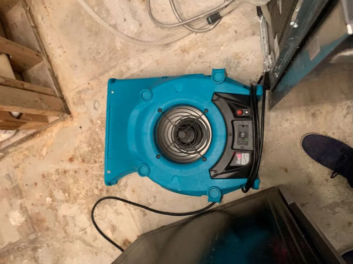 Air mover drying equipment for Mold Remediation & Removal in Lake Tapps